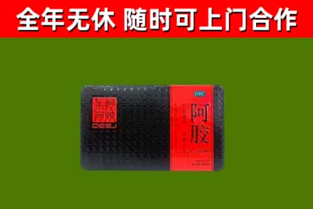 会泽回收阿胶
