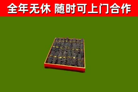 会泽回收海参